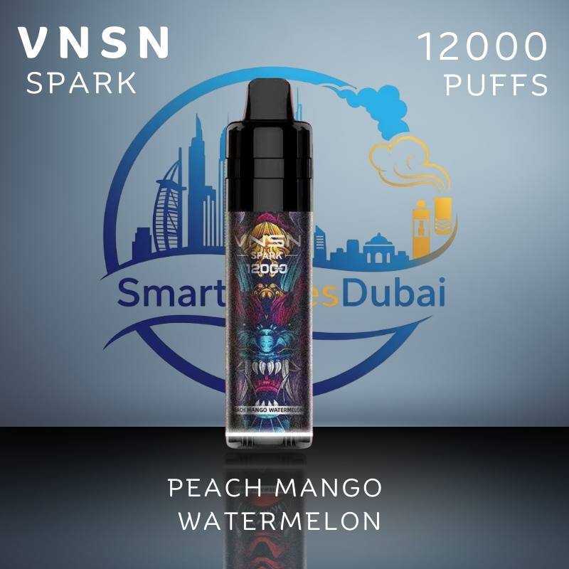 VNSN Spark 12000 Puffs Disposable Vape in Dubai UAE