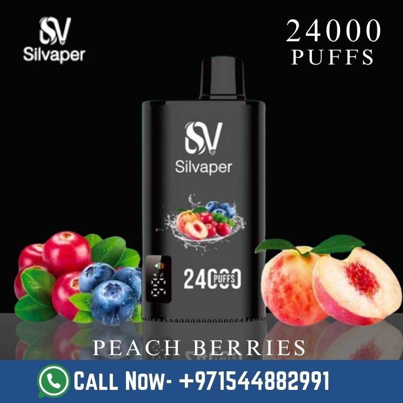 Silvaper 24000 Puffs 50MG Disposable Vape Dubai