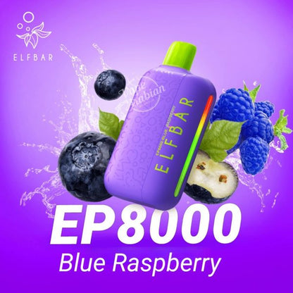 Buy Elfbar EP 8000 Puffs Disposable Vape Best Price UAE
