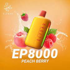 Buy Elfbar EP 8000 Puffs Disposable Vape Best Price UAE